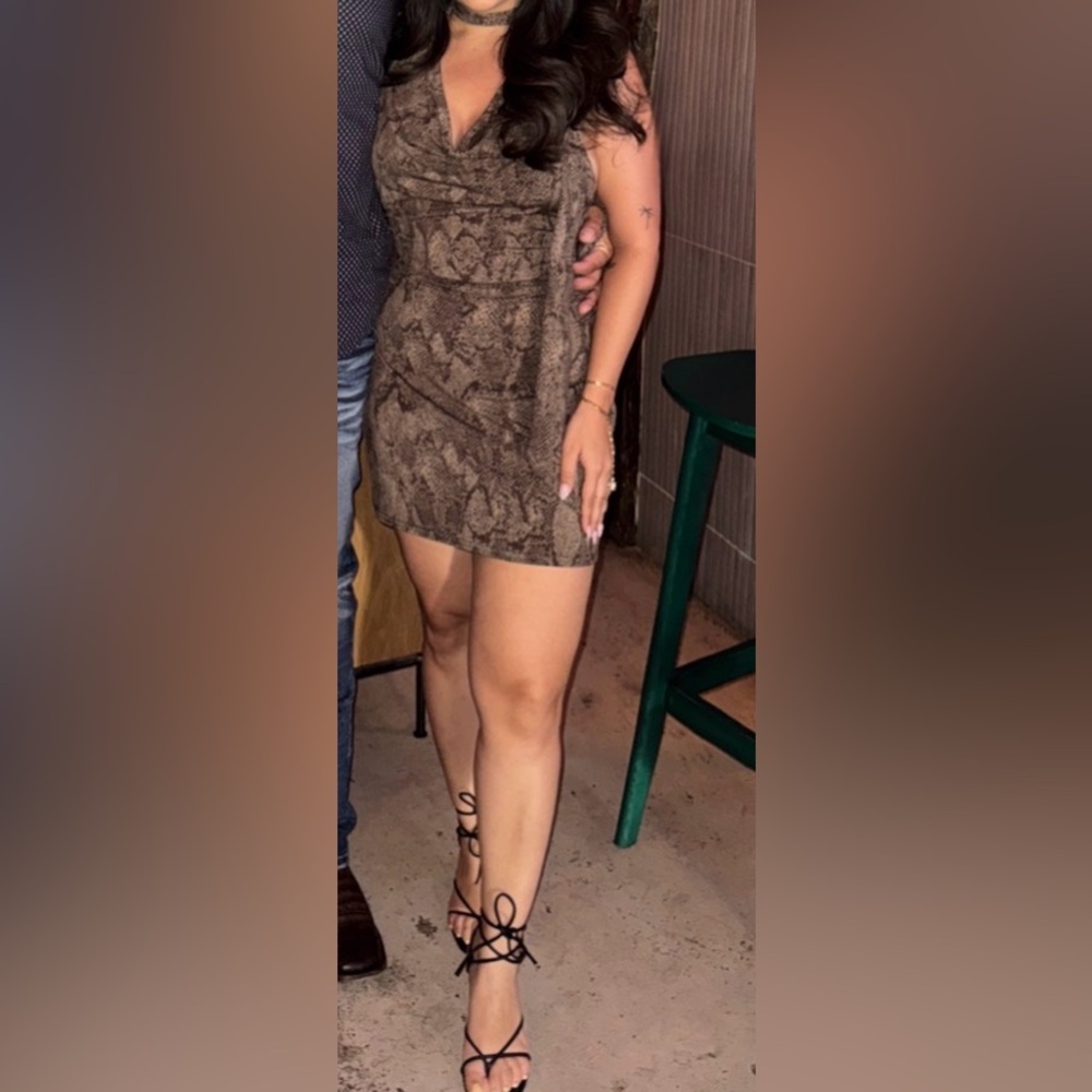 Abercrombie & Fitch Brown Snake Print Mini Skirt